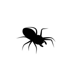 Spider Icon Logo