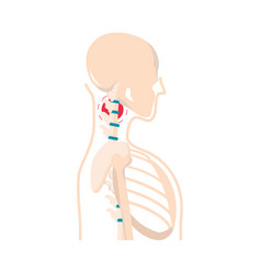 Rheumatism Arthritis Pain