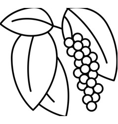 Inflorescence Pepper Line Icon