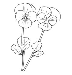 Cute Kids Coloring Pages Easy Pansy Flower Drawin