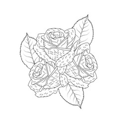 Beautiful Black And White Rose Flower Line Art