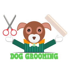 Dog Grooming With Comb And Scissors