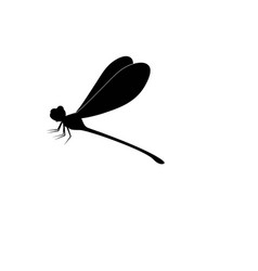 Dragon Fly Icon Logo