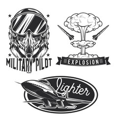 Set Of Aviation Emblems Labels Badges Logos