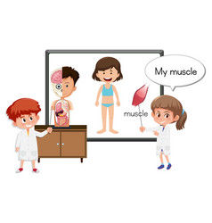 Young Doctor Explaining Muscle Anatomy