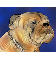 Bulldog