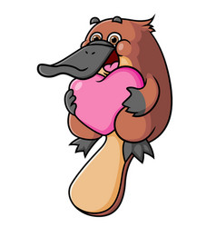 Cute Platypus Is Holding The Love Pillow