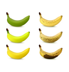 Banana Ripening Stages