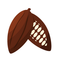 Cocoa Bean Plant Fruit Chocolate Day Element