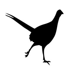 Silhouette Of Pheasant Image