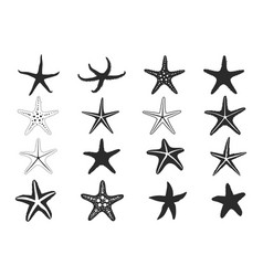 Starfish Silhouette Starfish Icon Starfish Svg