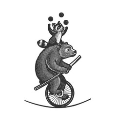 Circus Bear With Raccoon On Unicycle Sketch