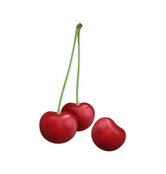 Realistic Cherry Bunch Composition