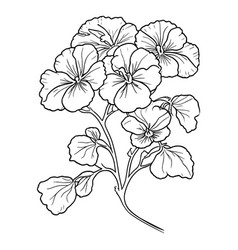 Traditional Pansy Tattoo Pansy Line Drawing