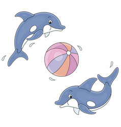 Merry Little Dolphins Playing A Big Ball