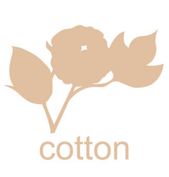 Cotton Plant Logo Hand Drawn Wedding Grass