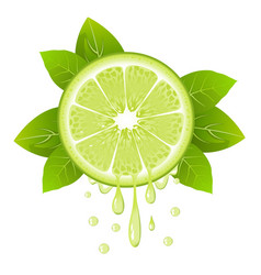 Lime Slice With Juice Drops Juicy Citrus Fruit