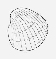 Seashell Outline Vector Images (over 1,000)