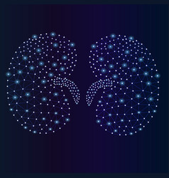 Abstract Kidney Anatomy Of The Kidney