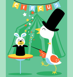 Crane And Bunny In Magic Show