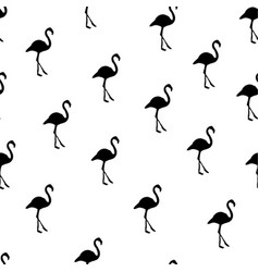 White Black Flamingo Pattern Background