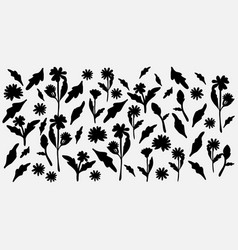 Chic Black And White Floral Graphic Design