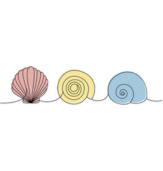 Scallop Sea Shells Mollusks