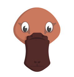 Platypus Face Front View