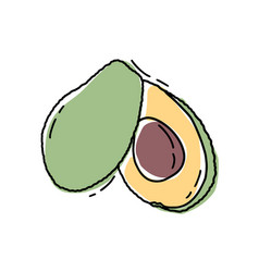 Avocado Slice Hand Drawn Tropical Summer Fruit