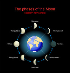 Lunar Cycle Moon Phases