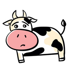 Sad Cow On White Background