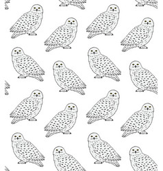 Seamless Pattern White Polar Snowy Owl