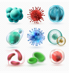 Various Microscopic 3d Bacteria And Viruses