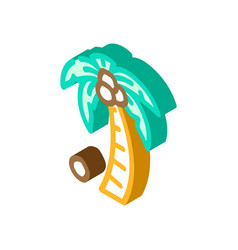 Palm Tree Coconut Isometric Icon