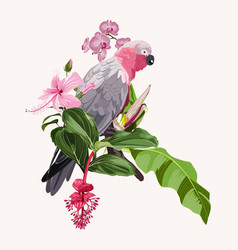 Summer Design With Pink Parrot Bird