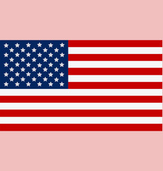 United States Of America Flag The Correct