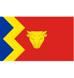 Birmingham Flag