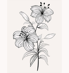 Flower Drawing