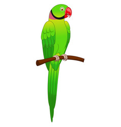 Cute Macaw Parrot Cartoon On Tree Branch