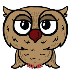 Big Eyed Owl On White Background