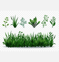 Green Grasses Set