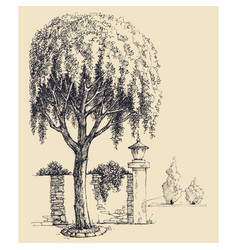 Park Entrance Hand Drawing Willow Tree Landscape