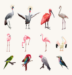 Big Set Of Cute Exotic Birds