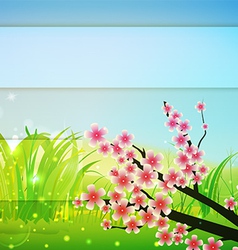 Spring Bg