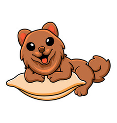 Cute Little Pomeranian Dog Cartoon On The Pillow