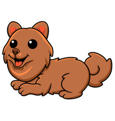 Cute Little Pomeranian Dog Cartoon Sitting