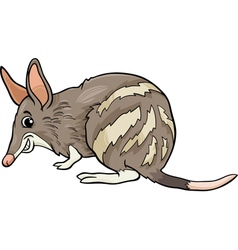 Bandicoot Animal Cartoon