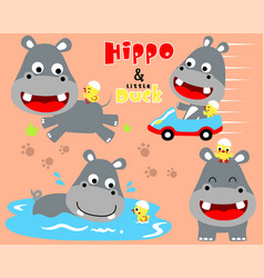 Hippo And Duck Cartoon In Different Action