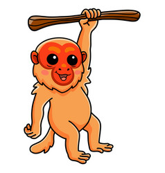 Cute Bald Uakari Monkey Cartoon Hanging On Tree