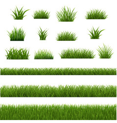 Grass Frame With White Background